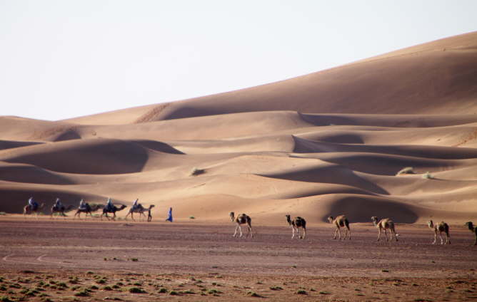 Sahara Fotos
